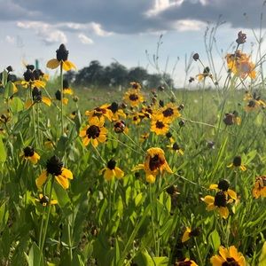 Meet your Posher, Paige